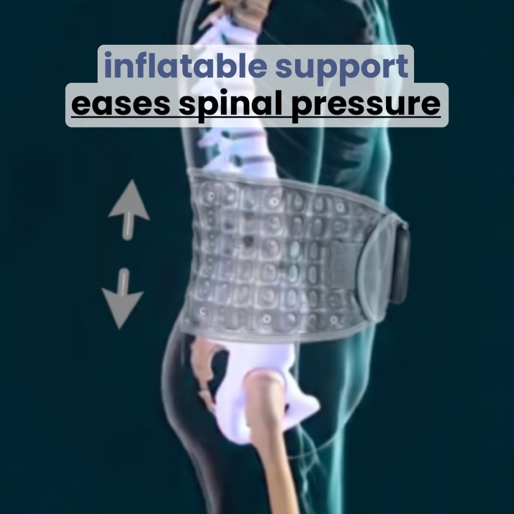 Escovia 3-in-1 Back Belt